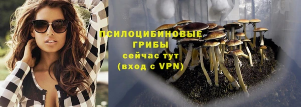 apvp Армянск